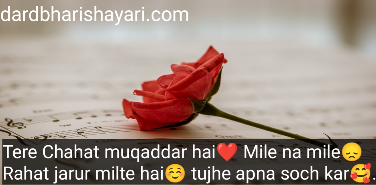 love quotes in hindi english